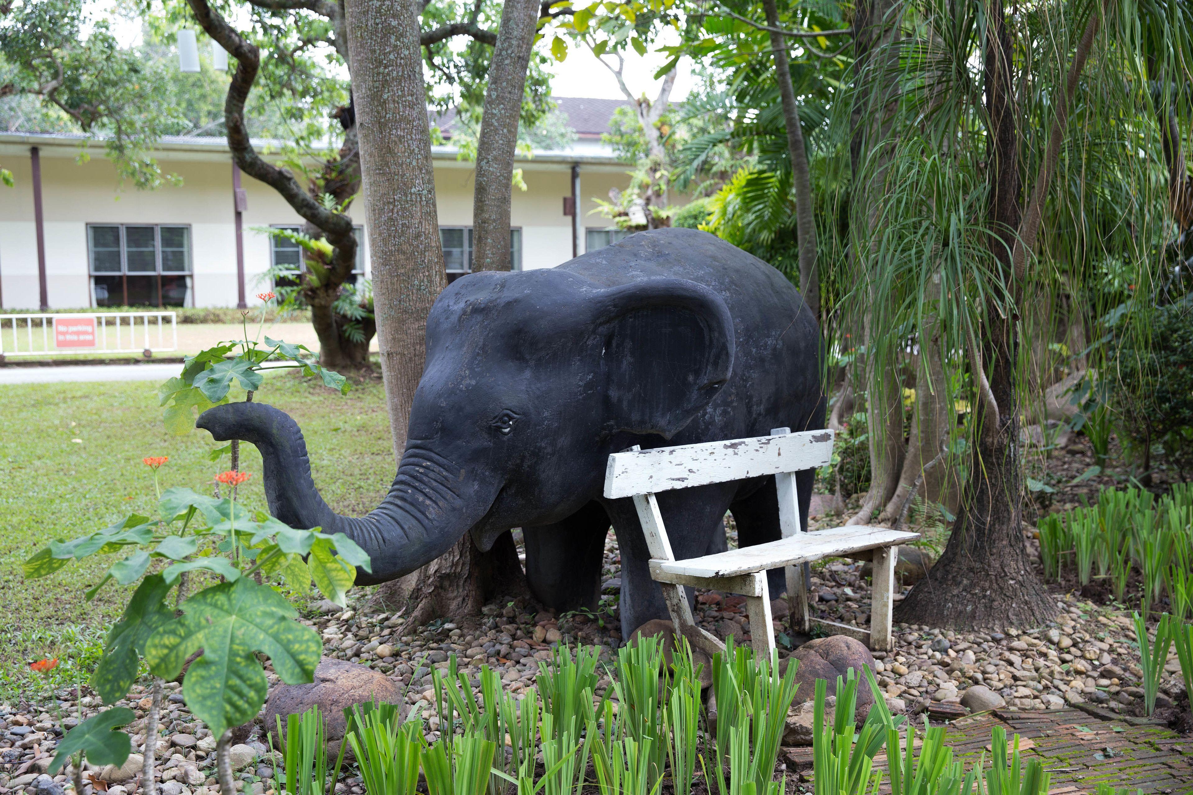 Eco Resort Chiang Mai — Photos 2